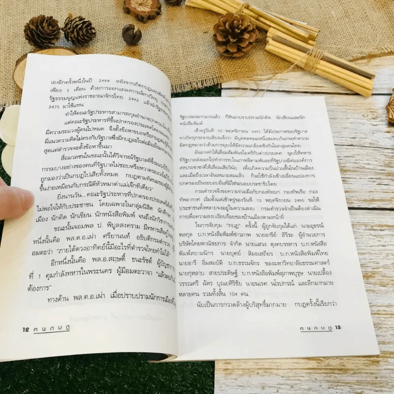 ฅนกบฏ รูปที่ 12