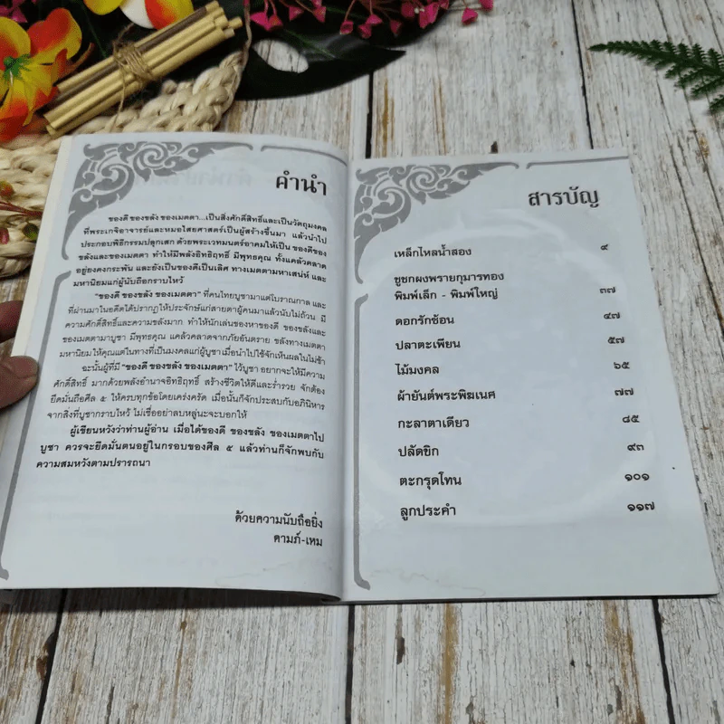 ของดี ของขลัง ของเมตตา พาร่ำรวย - ดามภ์-เหม รูปที่ 5