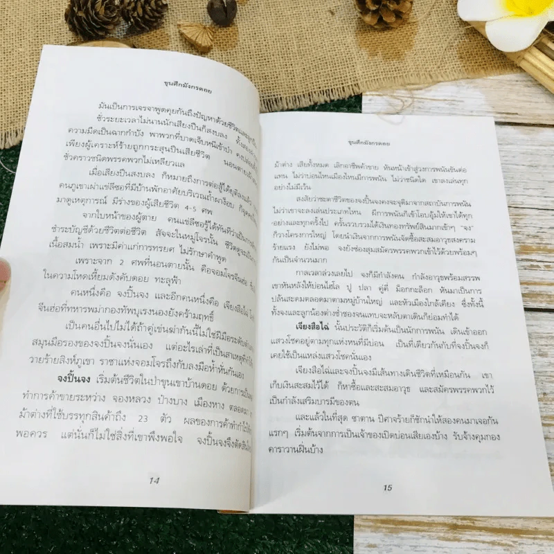 ขุนศึกมังกรดอย รูปที่ 10