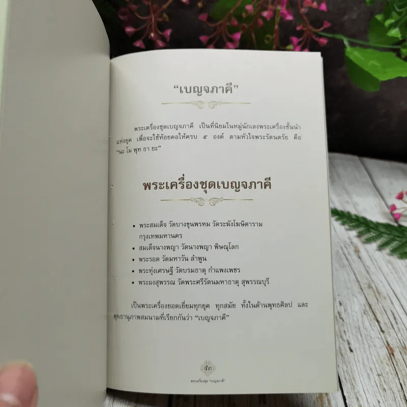 อนุสรณ์งานพระราชทานเพลิงศพ นายชาตรี โมระกรานต์ รูปที่ 16