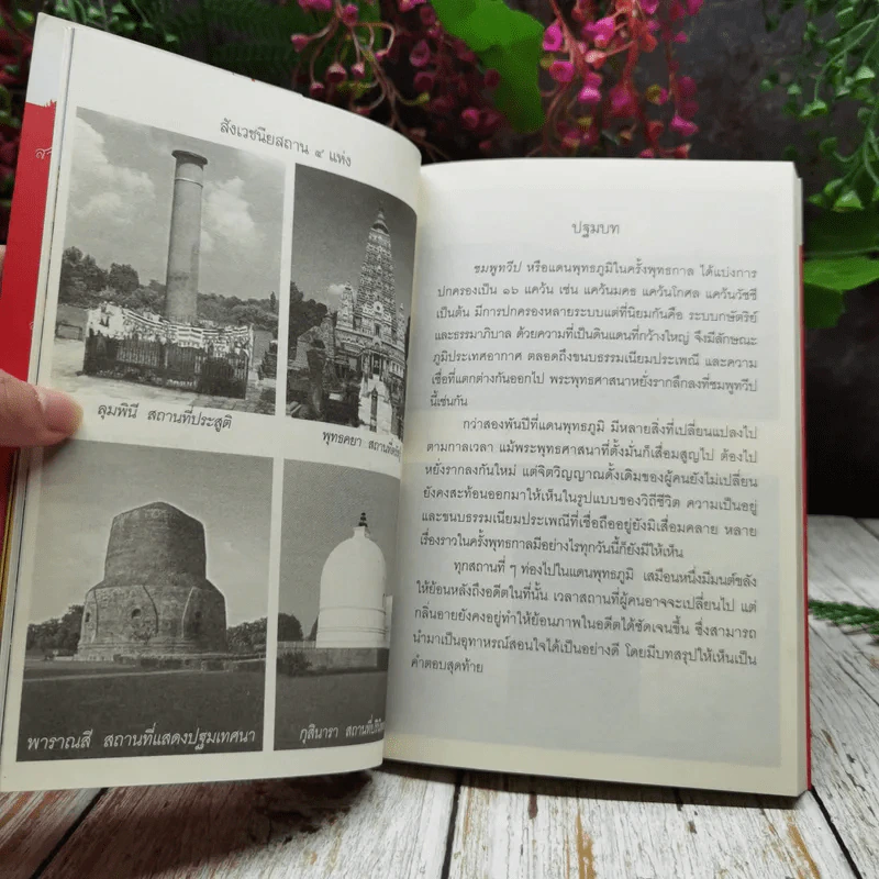 พระบาทสมเด็จพระนั่งเกล้าเจ้าอยู่หัว พระผู้ทรงสถาปนาวัดหนังเป็นพระอารามหลวง รูปที่ 13