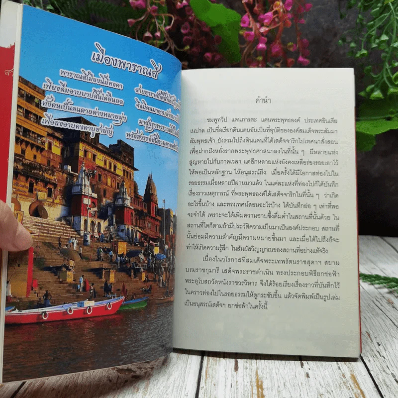 พระบาทสมเด็จพระนั่งเกล้าเจ้าอยู่หัว พระผู้ทรงสถาปนาวัดหนังเป็นพระอารามหลวง รูปที่ 10