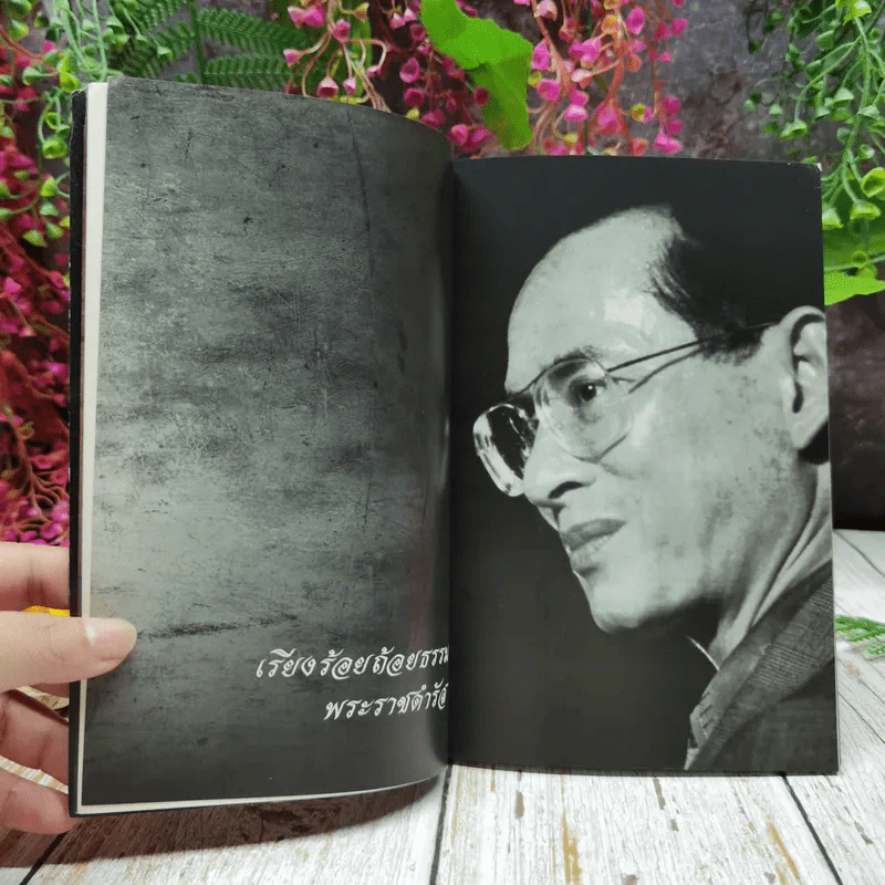 พ่อหลวงพ่อของแผ่นดิน รูปที่ 12