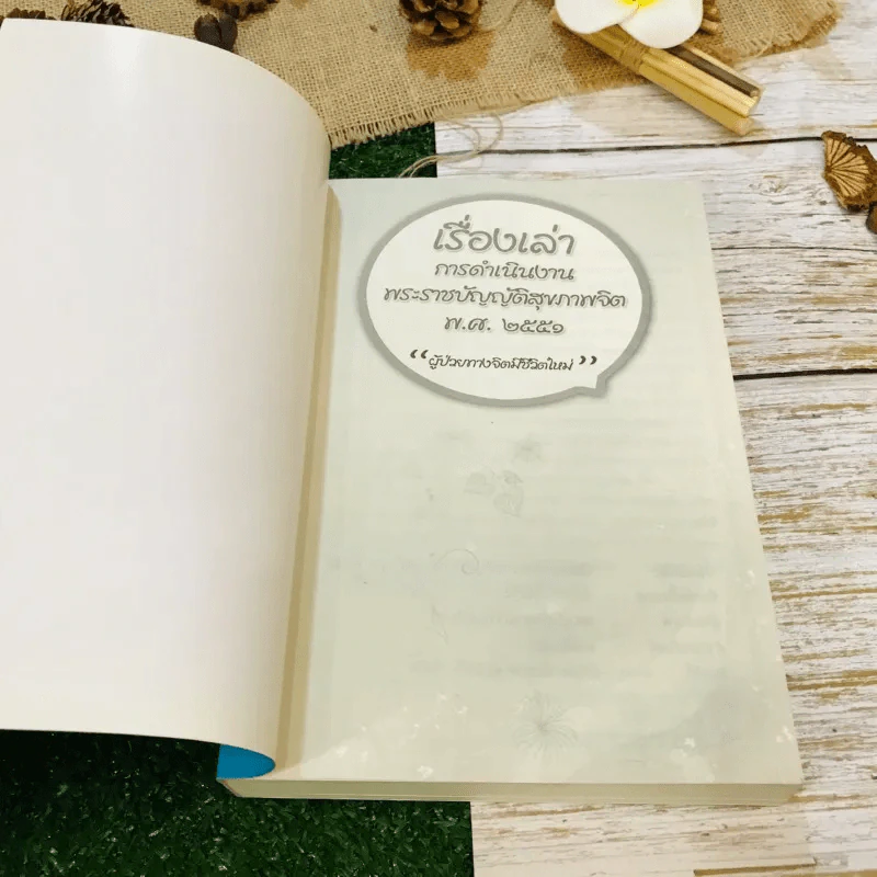 เรื่องเล่าการดำเนินงาน พระราชบัญญัติสุขภาพจิต พ.ศ.2551 ผู้ป่วยทางจิตมีชีวิตใหม่ รูปที่ 4