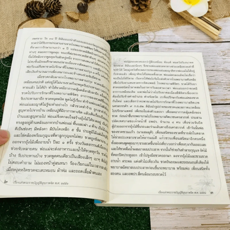 เรื่องเล่าการดำเนินงาน พระราชบัญญัติสุขภาพจิต พ.ศ.2551 ผู้ป่วยทางจิตมีชีวิตใหม่ รูปที่ 13