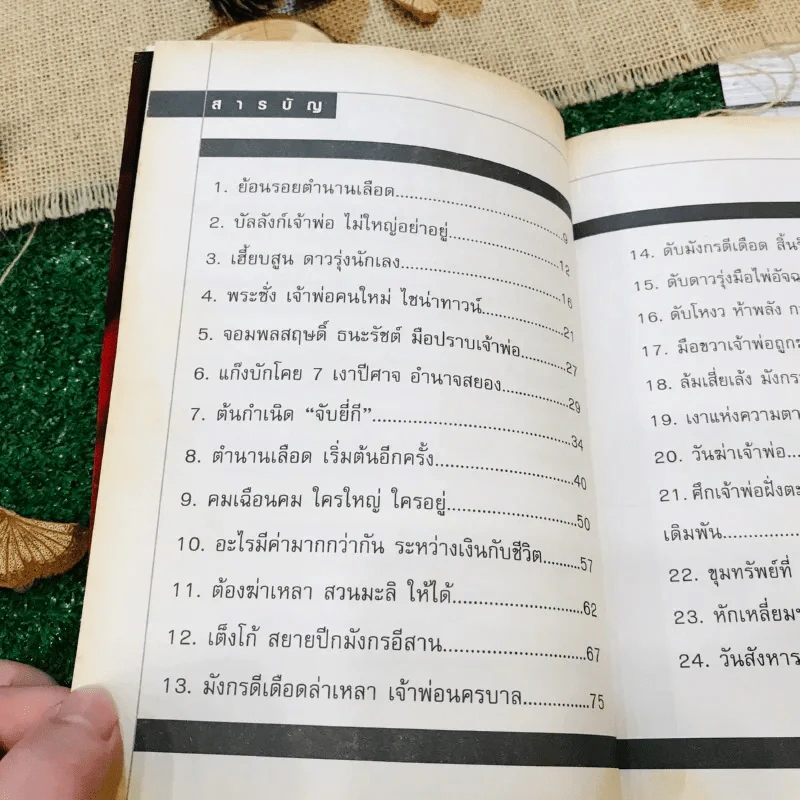 ตำนานเลือด รูปที่ 9