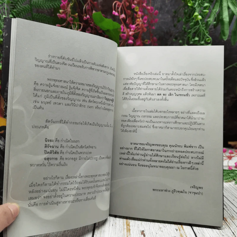 เรื่องจริงที่ยังสงสัย บอกได้ชาตินี้เท่านั้น เล่ม 13 วิบากกรรมพระสงฆ์ รูปที่ 11