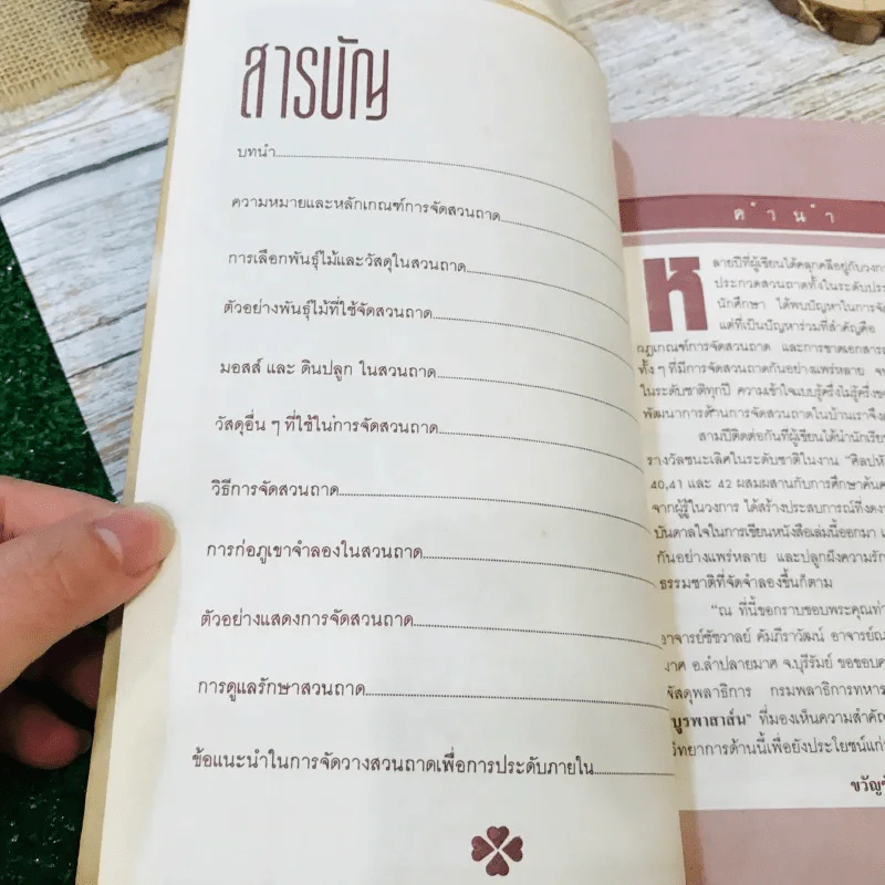 สวนถาด - ขวัญชัย จิตสำรวย รูปที่ 5