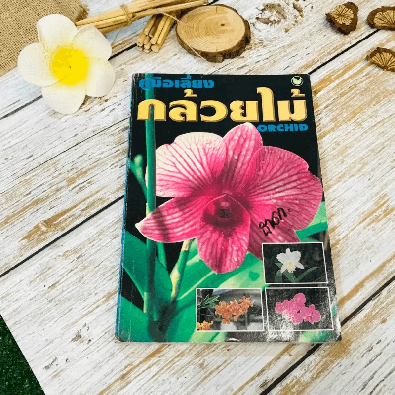คู่มือเลี้ยงกล้วยไม้ Orchid รูปที่ 1