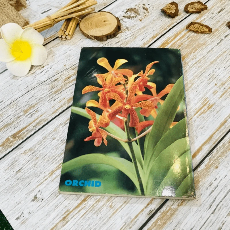 คู่มือเลี้ยงกล้วยไม้ Orchid รูปที่ 12