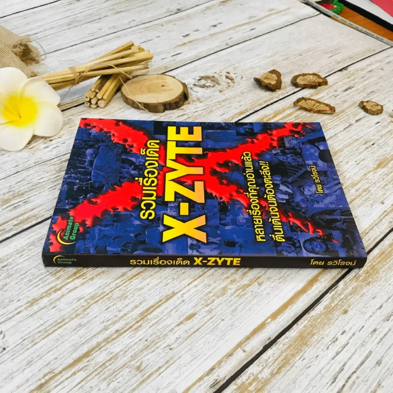 รวมเรื่องเด็ด X-Zyte รูปที่ 2