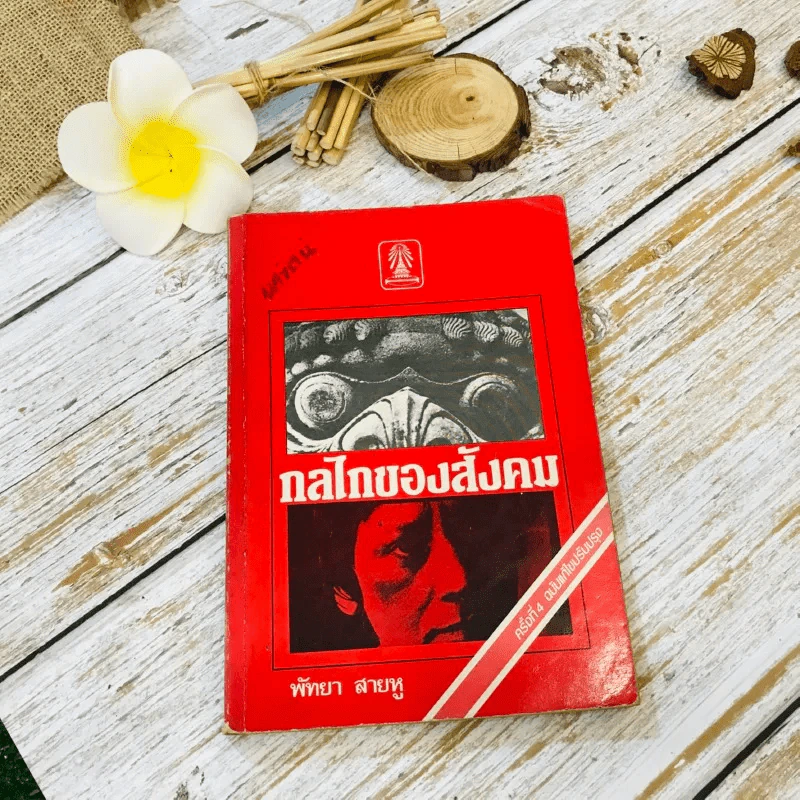 กลไกของสังคม - พัทยา สายหู รูปที่ 1