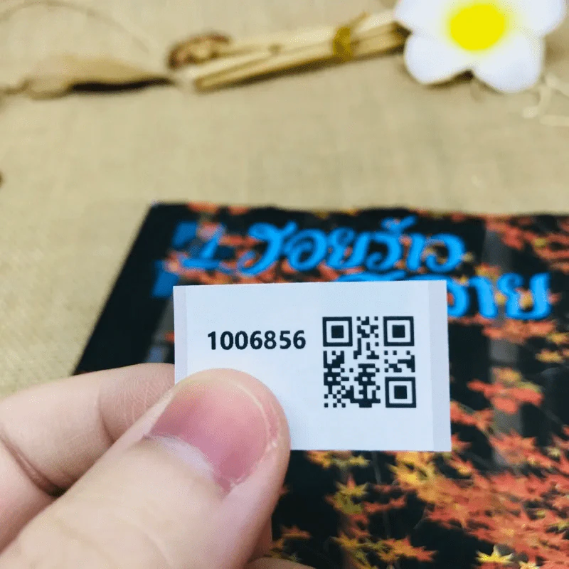 รอยร้าวสลาย รูปที่ 10