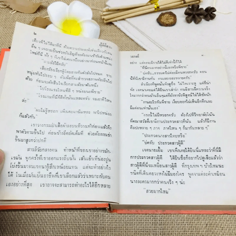 ผู้ดีอีสาน รูปที่ 8