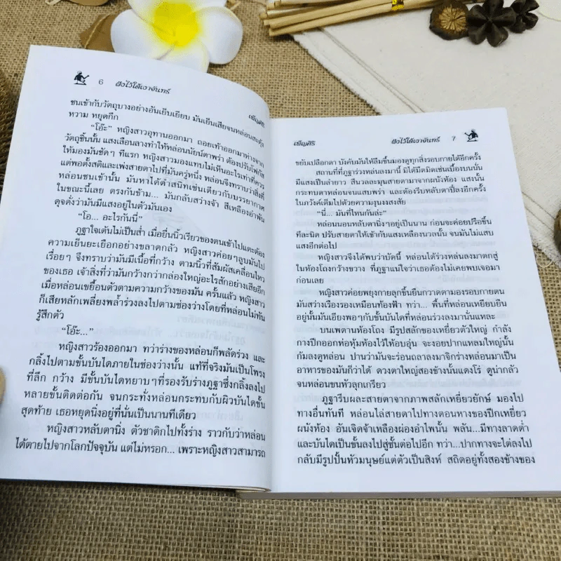 ฝังไว้ใต้เงาจันทร์ รูปที่ 9
