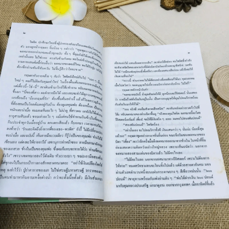 ปิ่นไพร รูปที่ 12