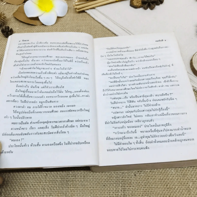 รักลวง รูปที่ 9