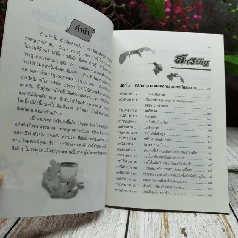 ถอดรหัสสุขภาพ ร้อน-เย็น ไม่สมดุล รูปที่ 5