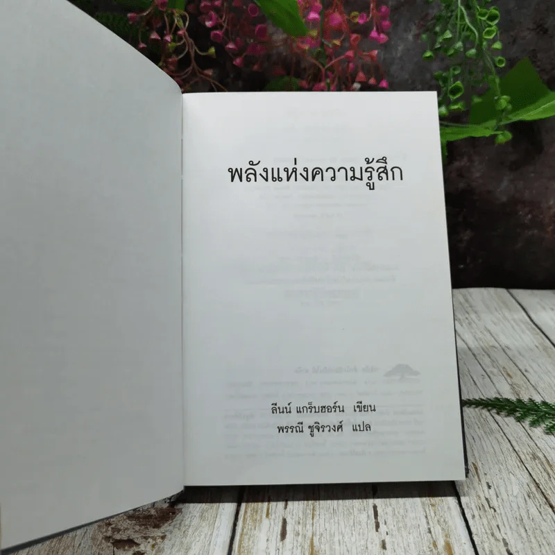 พลังแห่งความรู้สึก รูปที่ 5