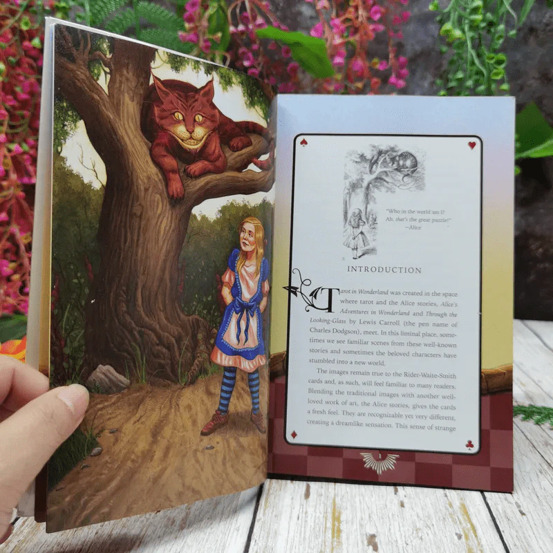 Wonderland in Tarot รูปที่ 8