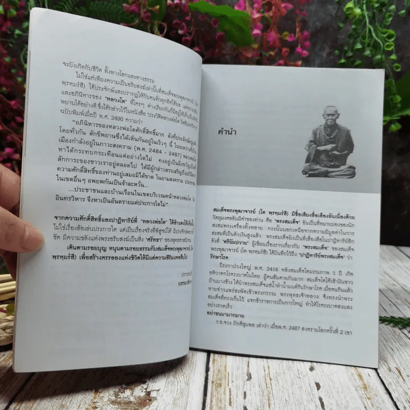 ตามรอยสมเด็จพระพุฒาจารย์ (โต พฺรหฺมรํสี) รูปที่ 7