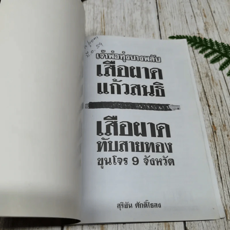 เจ้าพ่อทุ่งบางพลับ เสือผาด แก้วสนธิ เสือผาด ทับสายทอง ขุนโจร 9 จังหวัด รูปที่ 4