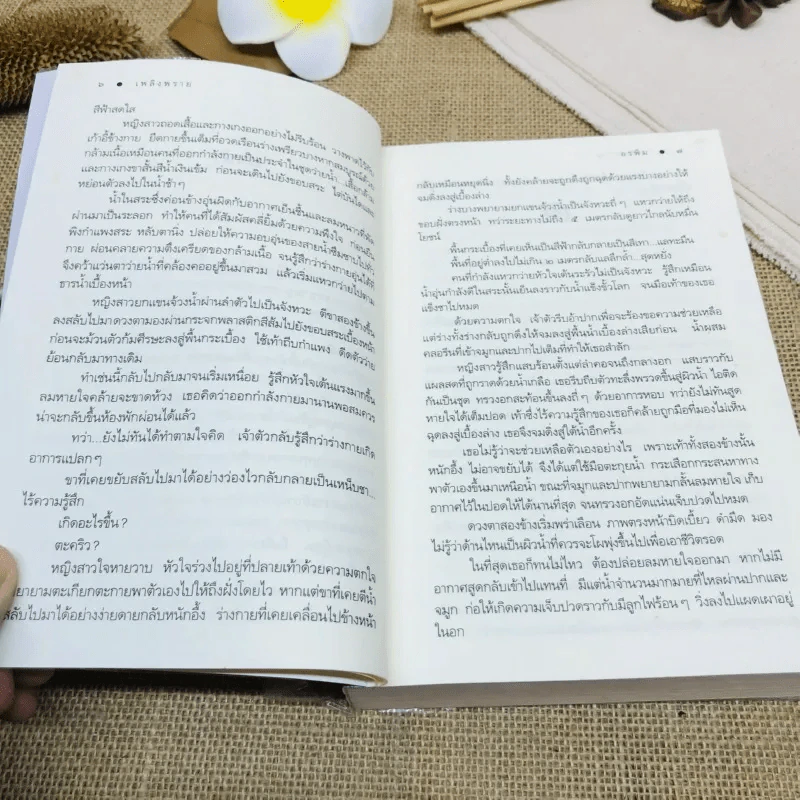 เพลิงพราย รูปที่ 9