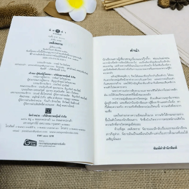 เพลิงพราย รูปที่ 7