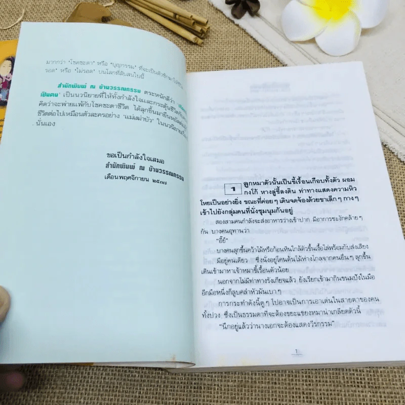 เกิดแล้วเป็นคน รูปที่ 8