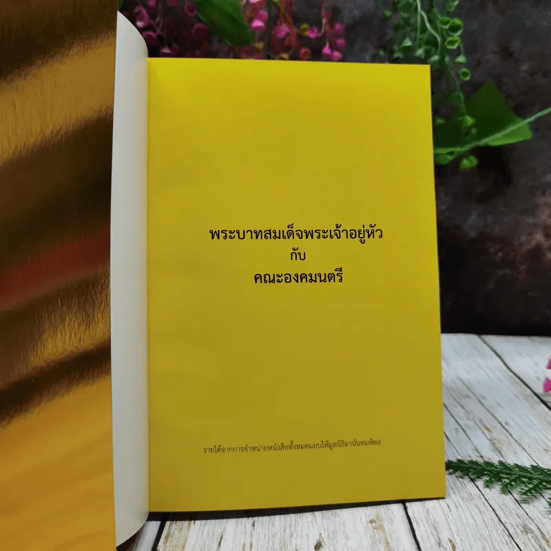 พระบาทสมเด็จพระเจ้าอยู่หัวกับคณะองคมนตรี รูปที่ 5