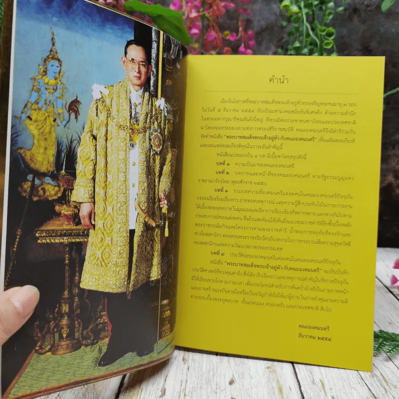 พระบาทสมเด็จพระเจ้าอยู่หัวกับคณะองคมนตรี รูปที่ 9