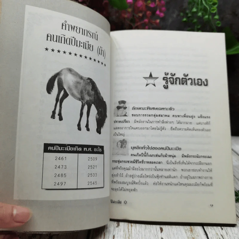 ศาสตร์แห่งการพยากรณ์ ชุด 12 นักษัตร ปีมะเมีย รูปที่ 8