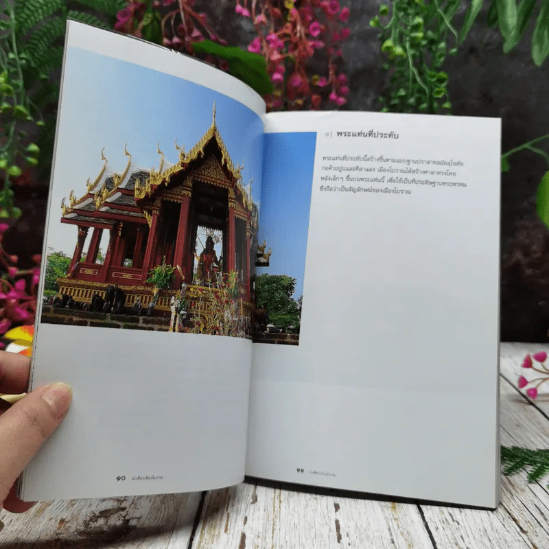 นำเที่ยวเมืองโบราณ รูปที่ 8