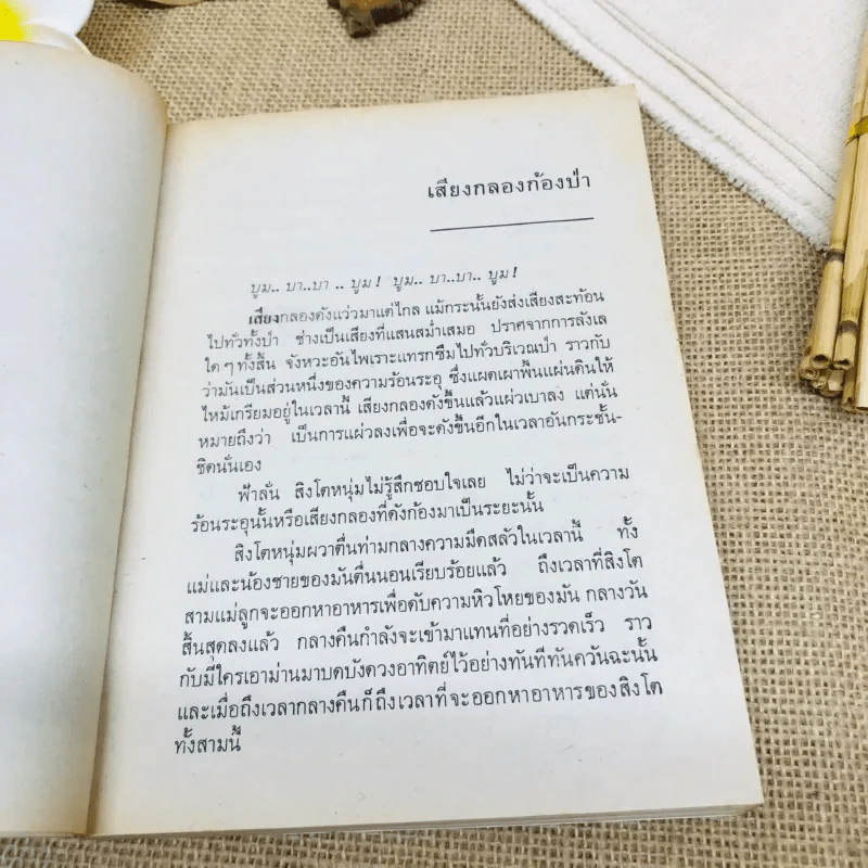 ตามล่า รูปที่ 7