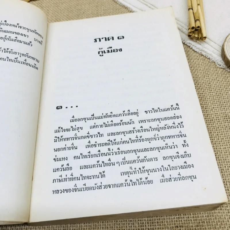 คนไททิ้งแผ่นดิน รูปที่ 10