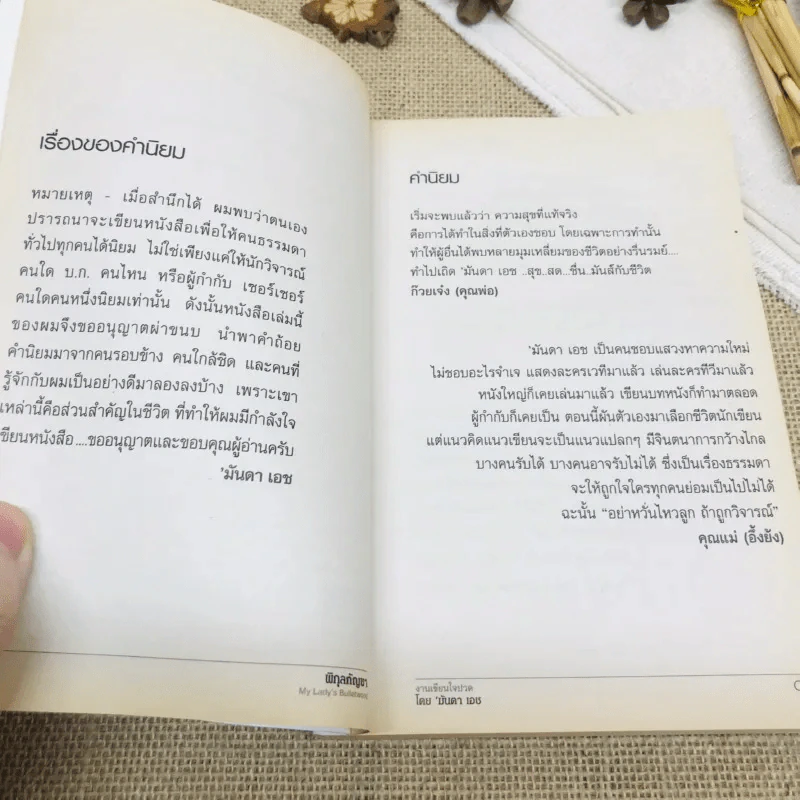 พิกุลกัญชา : My Lady's Bullet Wood รูปที่ 5