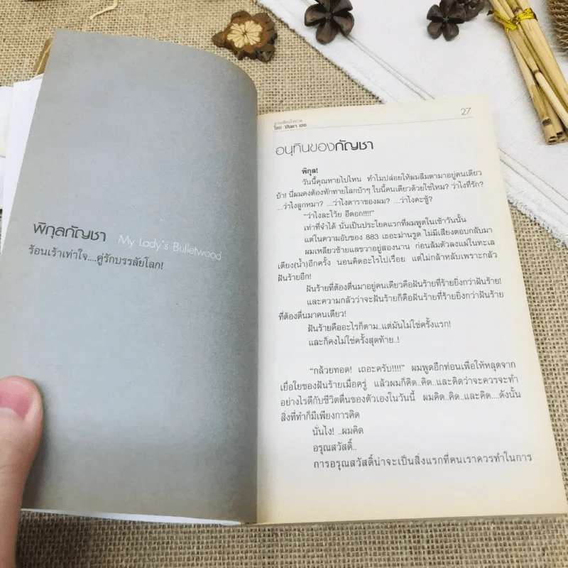 พิกุลกัญชา : My Lady's Bullet Wood รูปที่ 8