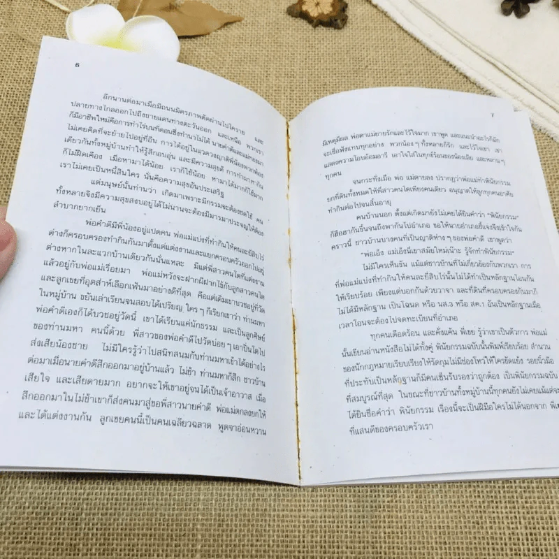 บ้านไร่ชายแดน รูปที่ 10