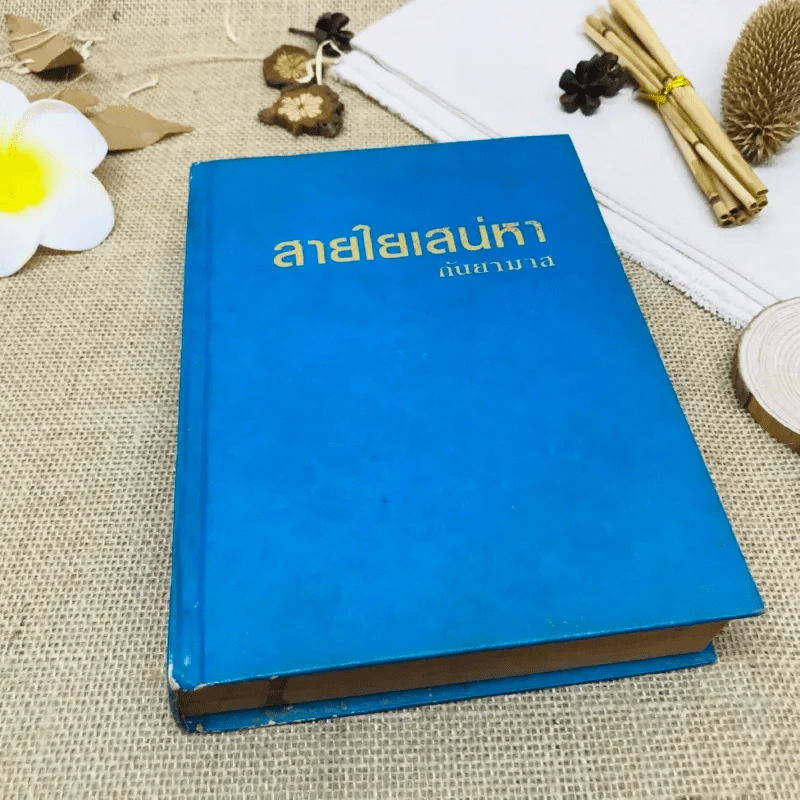 สายใยเสน่หา รูปที่ 1