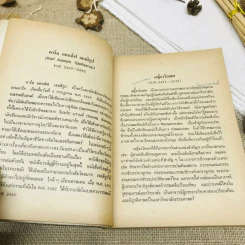 กามนิต (ภาคพื้นดิน) รูปที่ 8