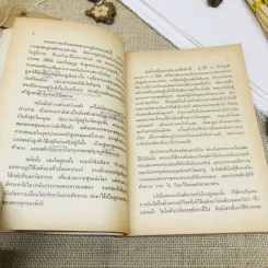 กามนิต (ภาคพื้นดิน) รูปที่ 12