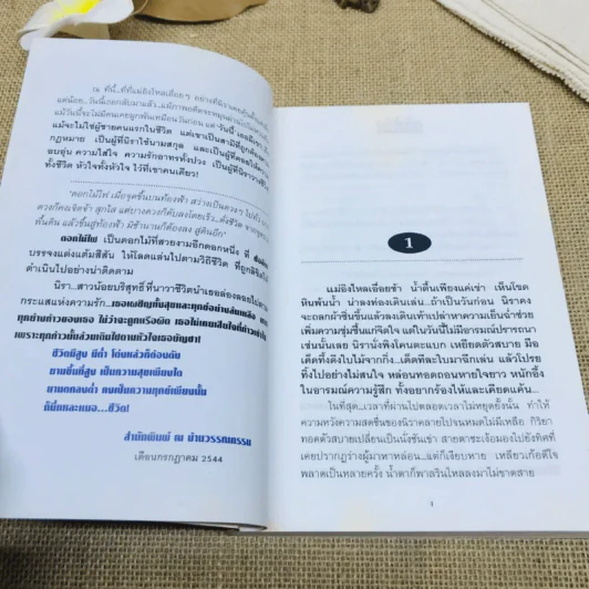 ดอกไม้ไฟ 2 เล่มจบ - ช่อลัดา รูปที่ 8