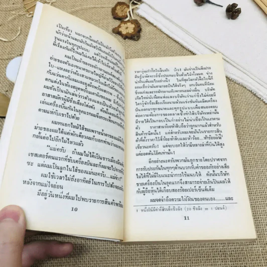 จ้าวเวหา Great Flying Stories รูปที่ 8