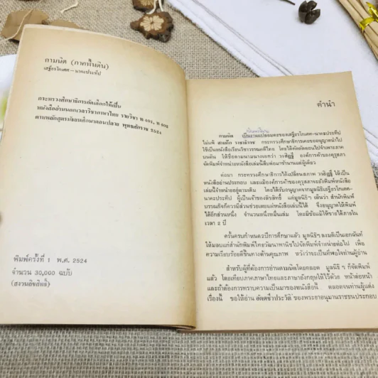 กามนิต (ภาคพื้นดิน) รูปที่ 5