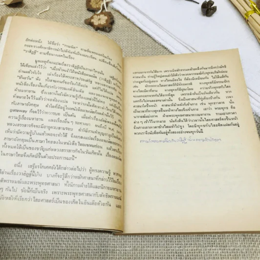 กามนิต (ภาคพื้นดิน) รูปที่ 7