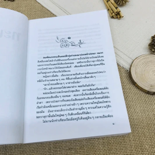 ทะเลหวาน รูปที่ 8