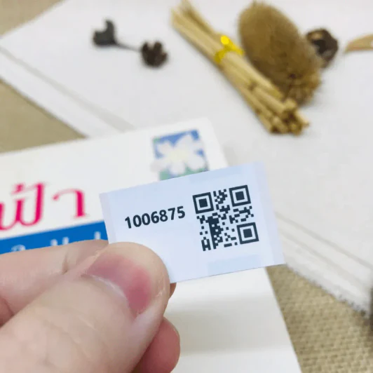 บ้านเกิด รูปที่ 10
