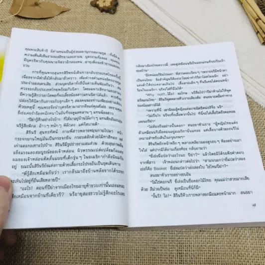 บ้านเกิด รูปที่ 9