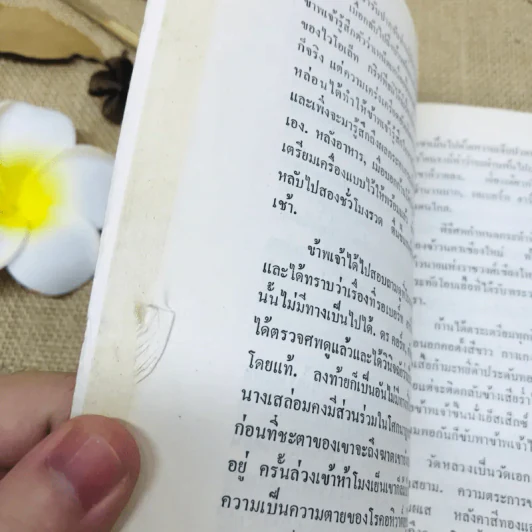 จ้าวแม่ทองคำ รูปที่ 11