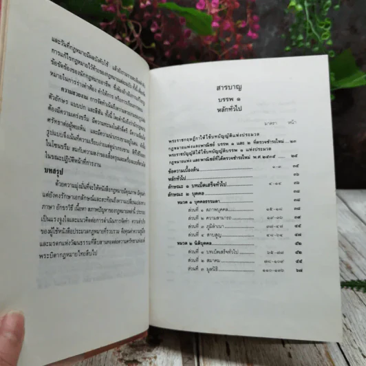 ประมวลกฎหมายแพ่งและพาณิชย์ บรรพ 1-6 แก้ไขเพิ่มเติม ฉบับสมบูรณ์ รูปที่ 9
